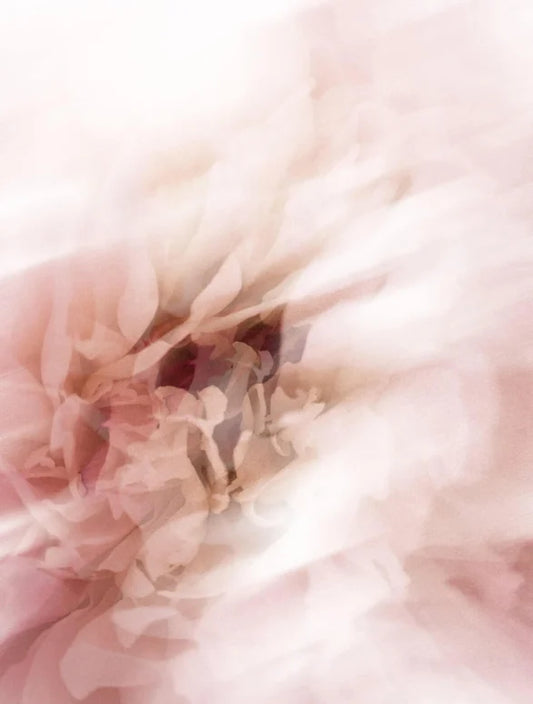 Collagen Night Cream