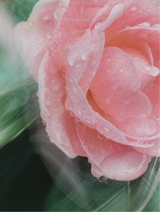 Mineral Sunscreen SPF30 for Face & Body