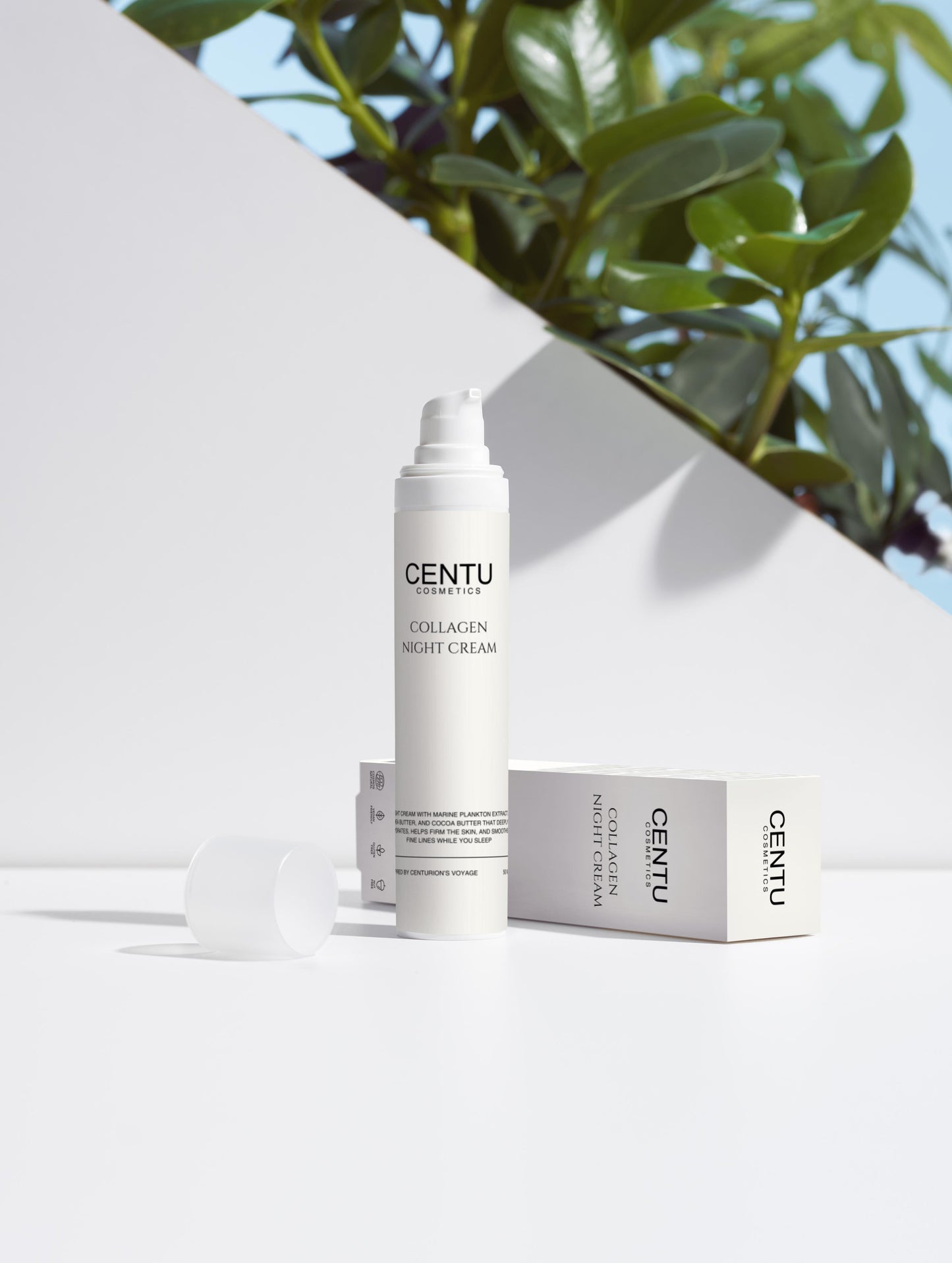 Collagen Night Cream