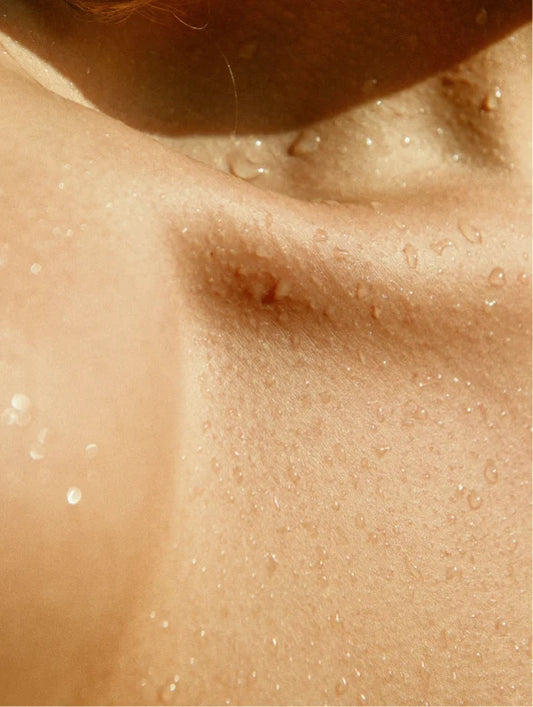 Gloss Shampoo