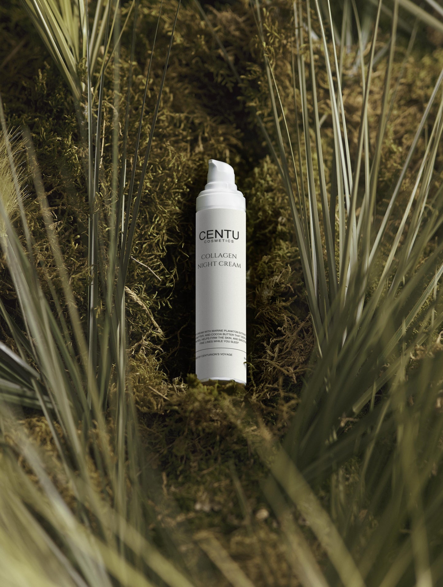 Collagen Night Cream