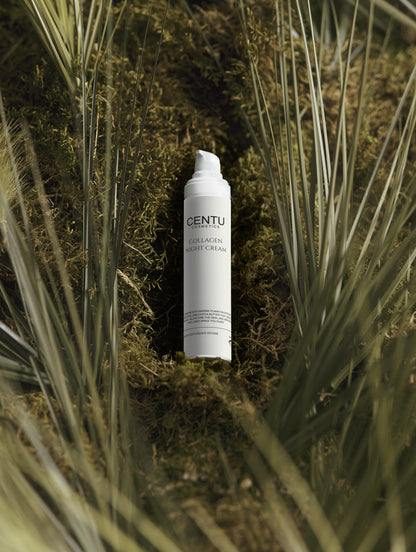 Collagen Night Cream